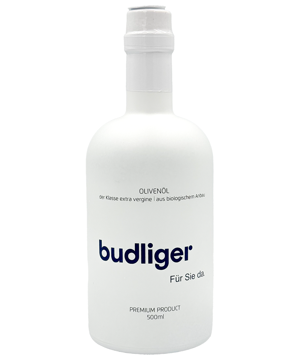 Budliger Treuhand AG
